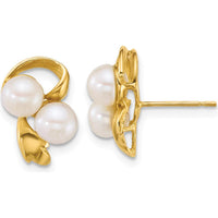 14K Yellow Gold Polished 5-6mm Button Freshwater Cultured Pearl Post Earrings by Monteluci Fine Jewelry