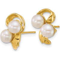 14K Yellow Gold Polished 5-6mm Button Freshwater Cultured Pearl Post Earrings by Monteluci Fine Jewelry