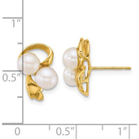 14K Yellow Gold Polished 5-6mm Button Freshwater Cultured Pearl Post Earrings by Monteluci Fine Jewelry