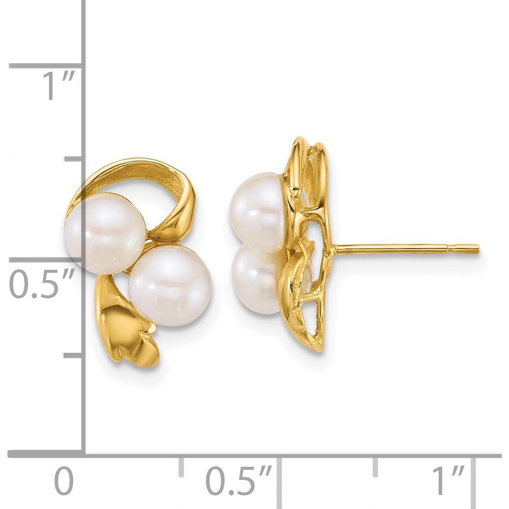 14K Yellow Gold Polished 5-6mm Button Freshwater Cultured Pearl Post Earrings by Monteluci Fine Jewelry