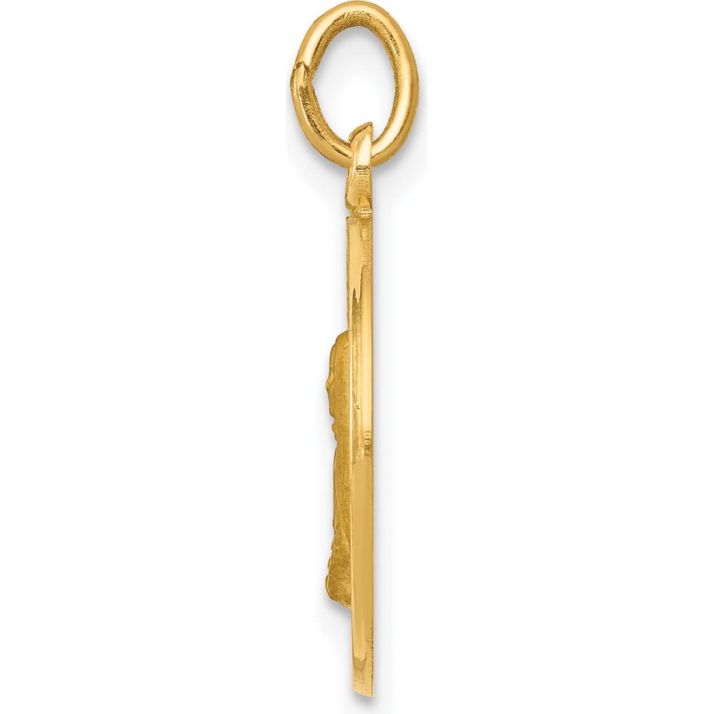 14K Yellow Gold Polished and Satin Mother Cabrini Round Charm Pendant - 19.65mm by Oro Pregiato