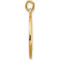 14K Yellow Gold Polished and Satin St. Luke Medal Charm - 19.75mm Length by Oro Pregiato