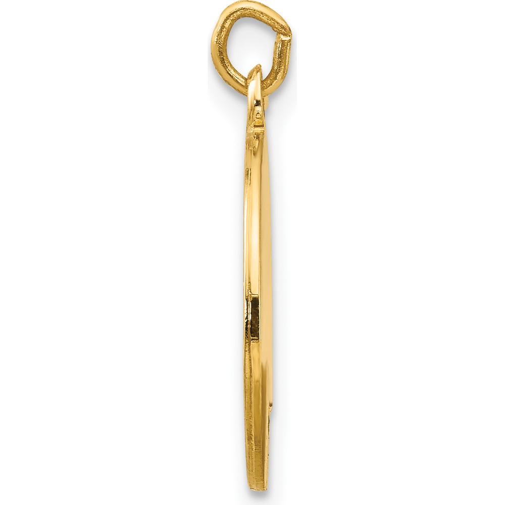 14K Yellow Gold Polished and Satin St. Luke Medal Charm - 19.75mm Length by Oro Pregiato