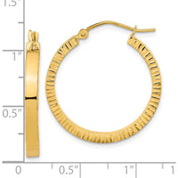 14K Yellow Gold Polished and Textured Large Hoop Earrings - 27.08mm Length by 0