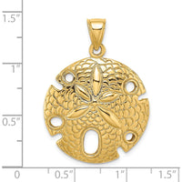14K Yellow Gold Polished and Textured Large Sand Dollar Pendant by Oro Pregiato