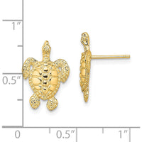 14K Yellow Gold Polished and Textured Sea Turtle Post Earrings - 16.5mm Length by 0