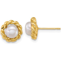 14K Yellow Gold Polished Button Freshwater Pearl Twisted Edge Post Earrings - 5-6mm by Monteluci Fine Jewelry