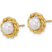 14K Yellow Gold Polished Button Freshwater Pearl Twisted Edge Post Earrings - 5-6mm by Monteluci Fine Jewelry
