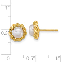 14K Yellow Gold Polished Button Freshwater Pearl Twisted Edge Post Earrings - 5-6mm by Monteluci Fine Jewelry