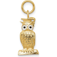 14K Yellow Gold Polished Graduation Owl Charm with Enamel Accents - 20mm Length
