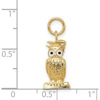 14K Yellow Gold Polished Graduation Owl Charm with Enamel Accents - 20mm Length