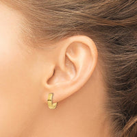 14K Yellow Gold Polished Hinged Hoop Earrings - 10mm Length by 0