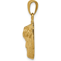 14K Yellow Gold Polished Jesus Head Pendant with Crown - Solid Cast Design by Oro Pregiato