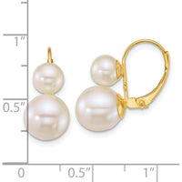 14K Yellow Gold Polished Leverback Earrings with 6-9mm White Freshwater Cultured Pearls by Monteluci Fine Jewelry