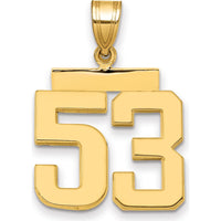 14K Yellow Gold Polished Medium Number 53 Charm by Oro Pregiato