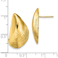 14K Yellow Gold Polished Mussel Shell Button Earrings - 24.4mm Length by 0