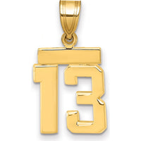 14K Yellow Gold Polished Number 13 Charm Pendant by 0