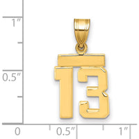 14K Yellow Gold Polished Number 13 Charm Pendant by 0
