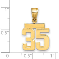 14K Yellow Gold Polished Number 35 Charm Pendant by 0