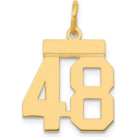 14K Yellow Gold Polished Number 48 Laser Cut Charm - Small Size by Oro Pregiato