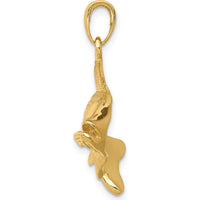 14K Yellow Gold Polished Open-Backed Snook Redfish Pendant - 26mm Length, 36mm Width by Oro Pregiato