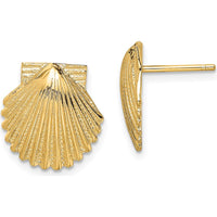 14K Yellow Gold Polished Scallop Shell Button Earrings - 12.45mm Length by 0