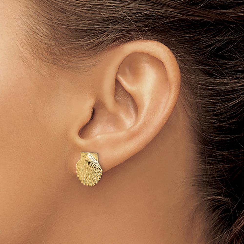 14K Yellow Gold Polished Scallop Shell Button Earrings - 12.45mm Length by 0