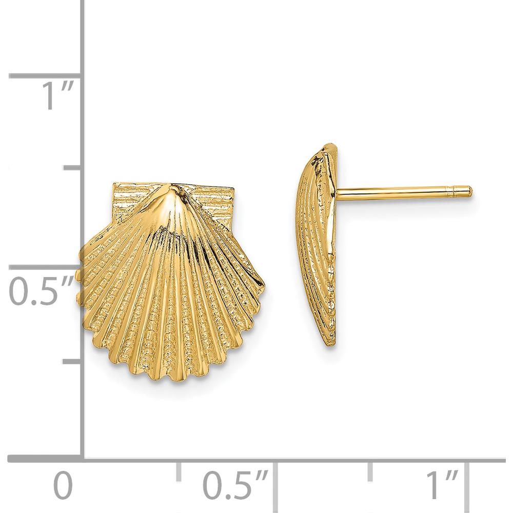 14K Yellow Gold Polished Scallop Shell Button Earrings - 12.45mm Length by 0