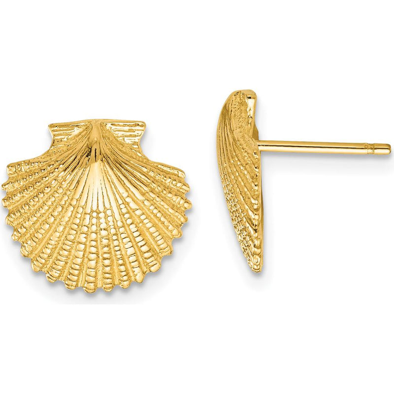 14K Yellow Gold Polished Scallop Shell Post Earrings - Elegant Design ...