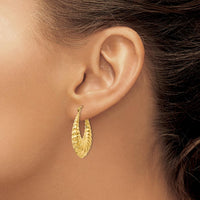 14K Yellow Gold Polished Scalloped Hollow Hoop Earrings - 14mm Length, 6mm Width by 0