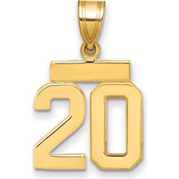14K Yellow Gold Polished Small Number 20 Charm Pendant by 0