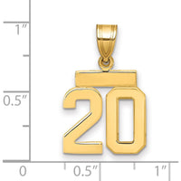 14K Yellow Gold Polished Small Number 20 Charm Pendant by 0