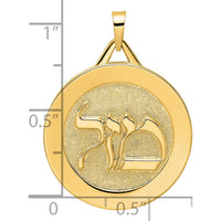 14K Yellow Gold Polished Solid Mazel Symbol Round Disc Pendant - Textured Finish, 29mm by Oro Pregiato