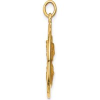14K Yellow Gold Queen of the Holy Scapular Reversible Pendant - 29.3mm Length by Oro Pregiato