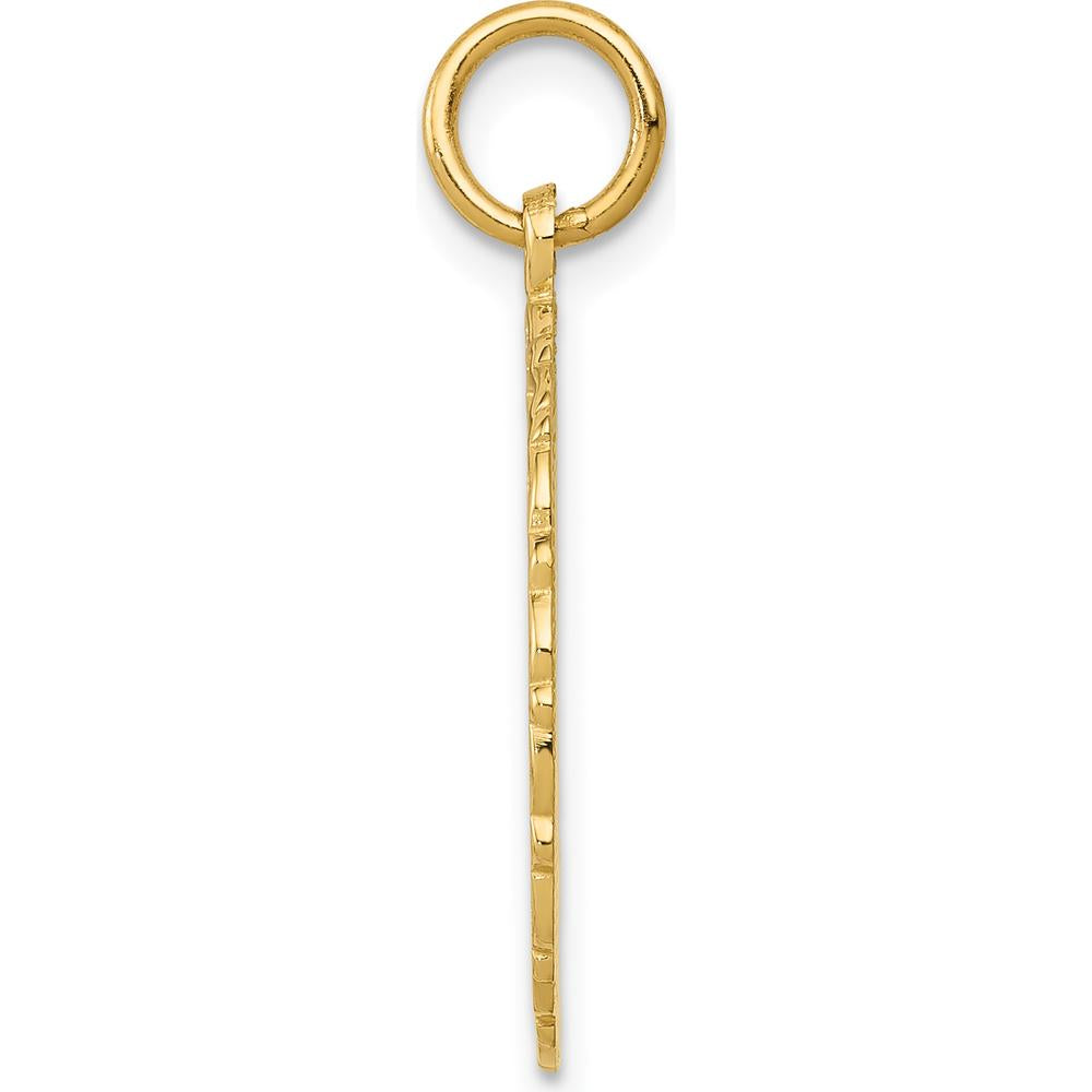 14K Yellow Gold RN Registered Nurse Textured Back Disc Charm by Oro Pregiato