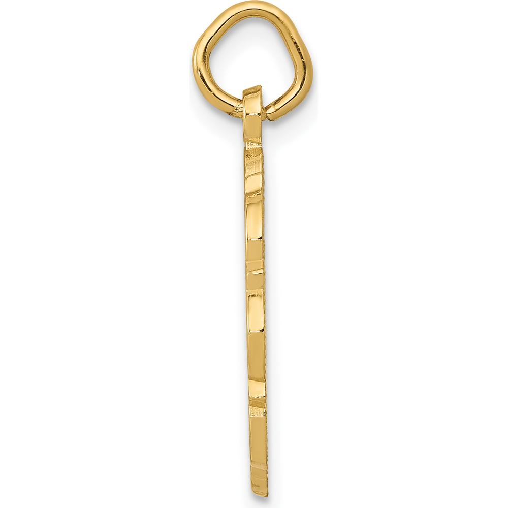 14K Yellow Gold RN Registered Nurse Textured Disc Charm - 25mm Length by Oro Pregiato