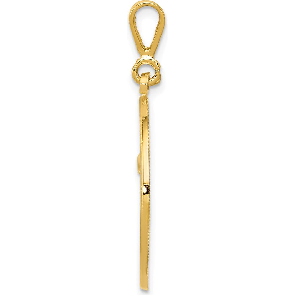 14K Yellow Gold RN "The Art of Caring" Caduceus Pendant - Polished Finish with Textured Back by Oro Pregiato