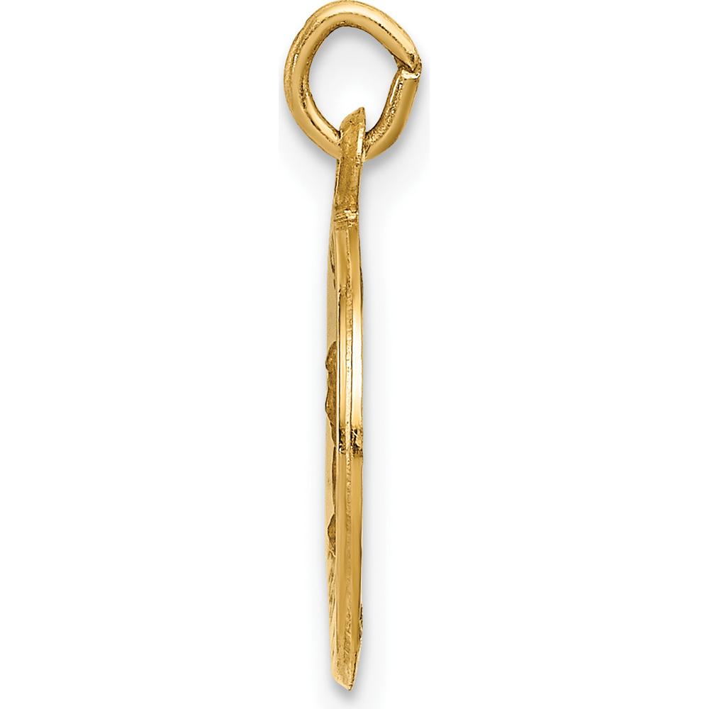 14K Yellow Gold Saint Mark Polished & Satin Medal Charm - 17.75mm by Oro Pregiato