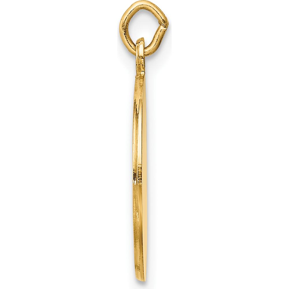 14K Yellow Gold Saint Roch Polished and Satin Medal Charm - 23mm Length by Oro Pregiato
