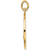 14K Yellow Gold San Juan De Los Lagos Medal Pendant - 25mm Length by Oro Pregiato