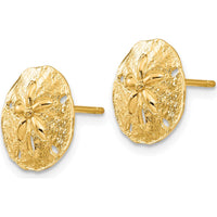 14K Yellow Gold Sand Dollar Post Earrings - Polished Finish, 12mm Diameter by 0