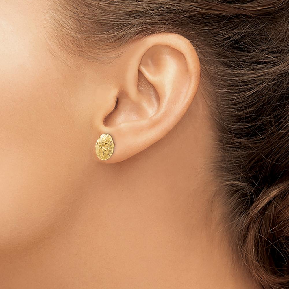 14K Yellow Gold Sand Dollar Post Earrings - Polished Finish, 12mm Diameter by 0