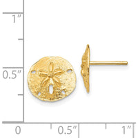 14K Yellow Gold Sand Dollar Post Earrings - Polished Finish, 12mm Diameter by 0