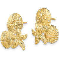 14K Yellow Gold Sand Dollar, Starfish, Scallop Cluster Post Earrings - Elegant Coastal Design by 0