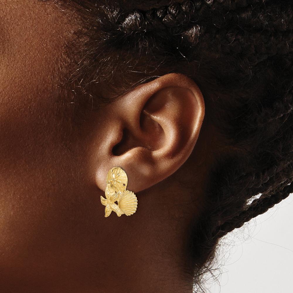 14K Yellow Gold Sand Dollar, Starfish, Scallop Cluster Post Earrings - Elegant Coastal Design by 0