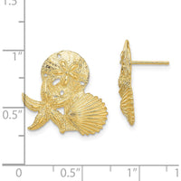14K Yellow Gold Sand Dollar, Starfish, Scallop Cluster Post Earrings - Elegant Coastal Design by 0