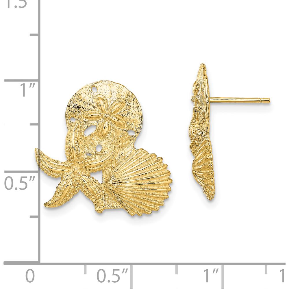 14K Yellow Gold Sand Dollar, Starfish, Scallop Cluster Post Earrings - Elegant Coastal Design by 0