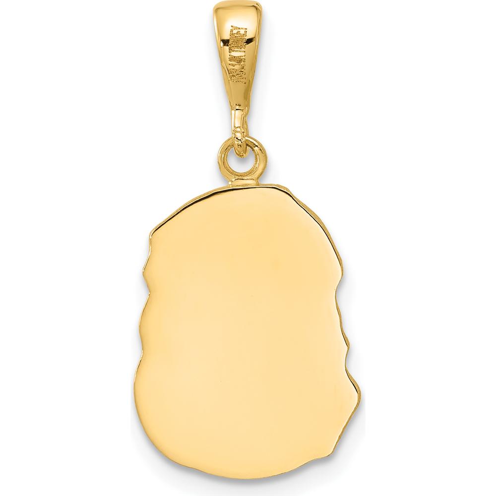 14K Yellow Gold Satin and Diamond-Cut Jesus Medal Pendant - 16.3mm Charm Length by Oro Pregiato