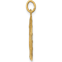 14K Yellow Gold Satin and Polished Miraculous Medal Pendant - 25mm Length by Oro Pregiato