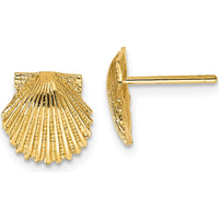 14K Yellow Gold Scallop Shell Button Earrings - Polished Finish, 9mm by 0
